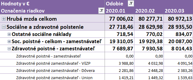 Hierarchia mzdových nákladov